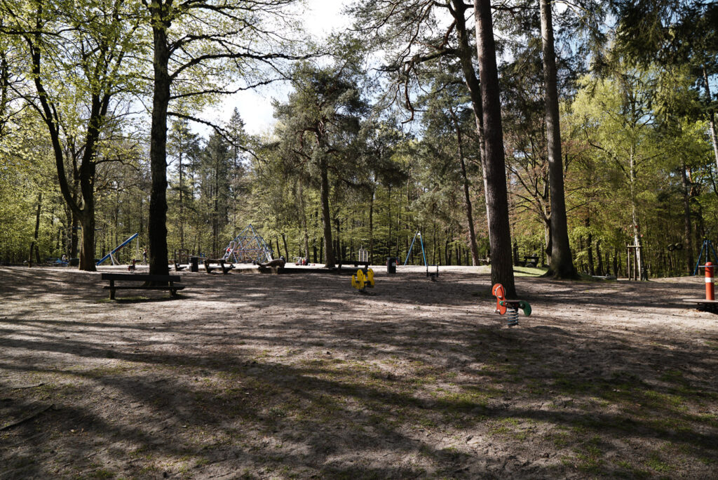 Hier im Wald lassen sich Abenteuer erleben.